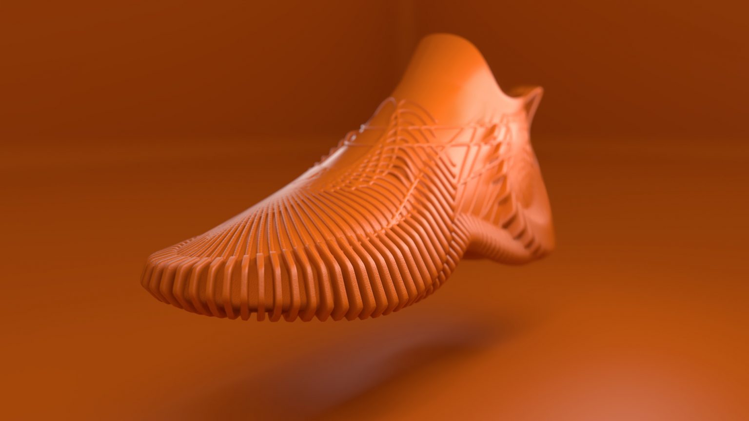 wp_parametric_shoe_dfs_02-1